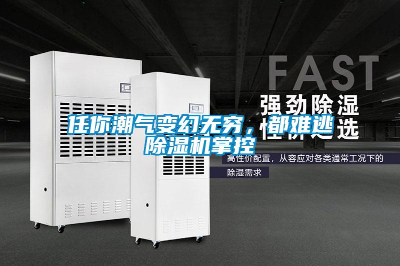 任你潮氣變幻無窮，都難逃除濕機掌控