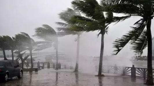 8月臺(tái)風(fēng)雨即將來(lái)，除濕機(jī)還得用起來(lái)