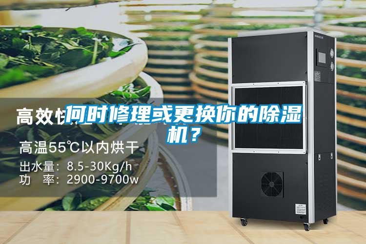 何時修理或更換你的除濕機？