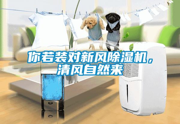 你若裝對新風(fēng)除濕機，清風(fēng)自然來