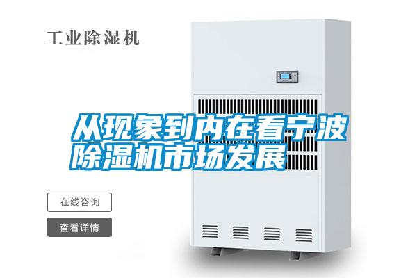 從現(xiàn)象到內在看寧波除濕機市場發(fā)展