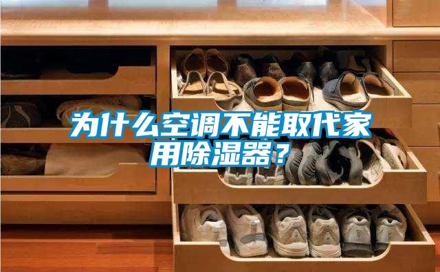 為什么空調不能取代家用除濕器？