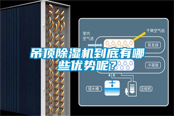 吊頂除濕機到底有哪些優勢呢？