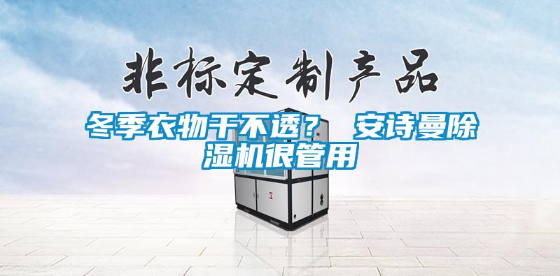 冬季衣物干不透？ 安詩曼除濕機很管用