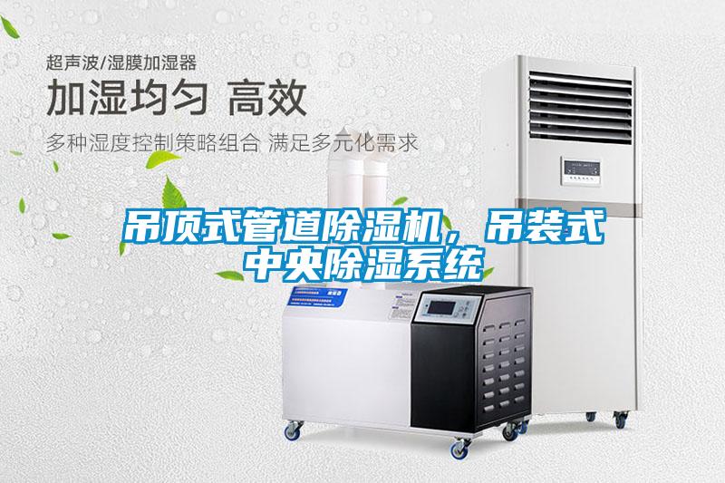 吊頂式管道除濕機，吊裝式中央除濕系統
