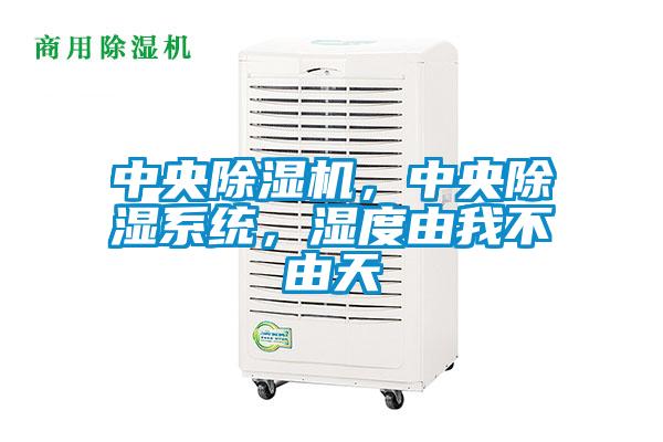 中央除濕機，中央除濕系統(tǒng)，濕度由我不由天