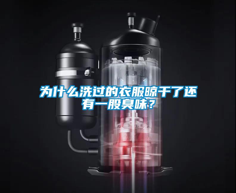 為什么洗過(guò)的衣服晾干了還有一股臭味？