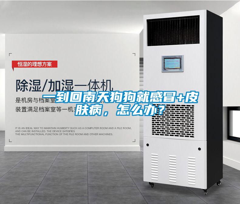 一到回南天狗狗就感冒+皮膚病，怎么辦？