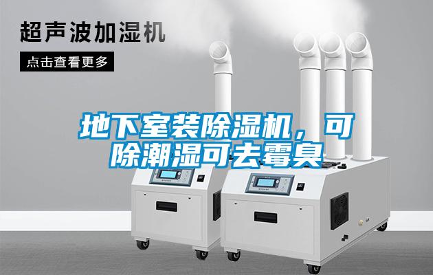 地下室裝除濕機(jī)，可除潮濕可去霉臭