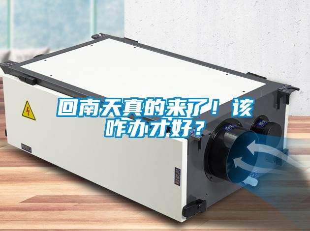 回南天真的來了！該咋辦才好？