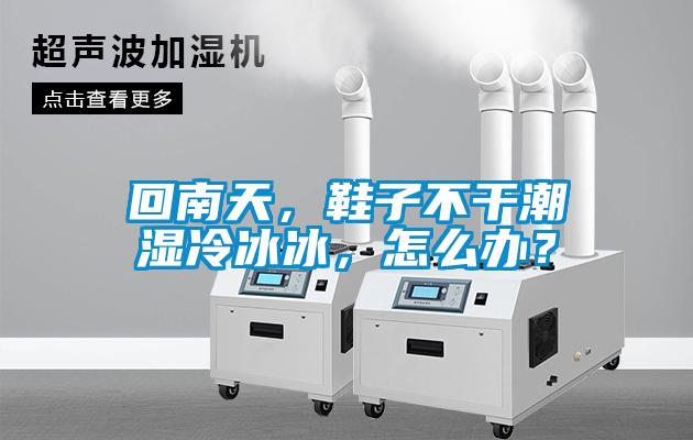 回南天，鞋子不干潮濕冷冰冰，怎么辦？