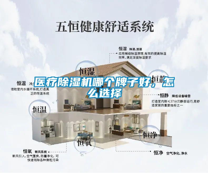 醫(yī)療除濕機哪個牌子好，怎么選擇