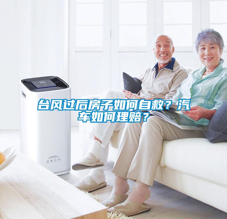 臺風過后房子如何自救？汽車如何理賠？
