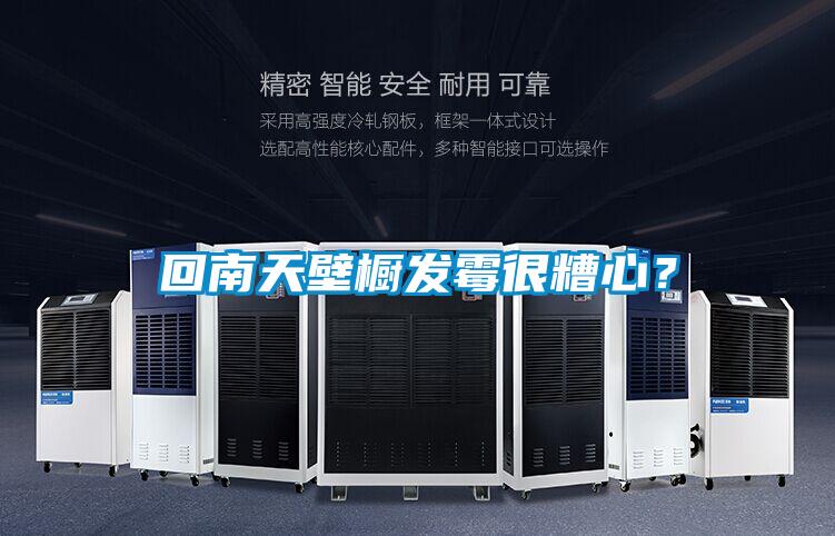 回南天壁櫥發霉很糟心？
