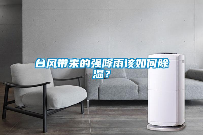 臺風帶來的強降雨該如何除濕？