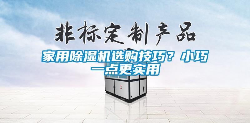 家用除濕機(jī)選購(gòu)技巧？小巧一點(diǎn)更實(shí)用