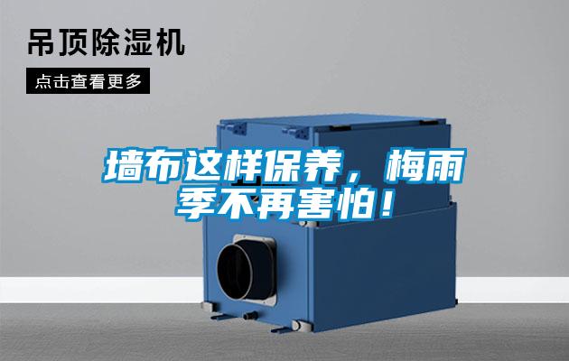 墻布這樣保養，梅雨季不再害怕！