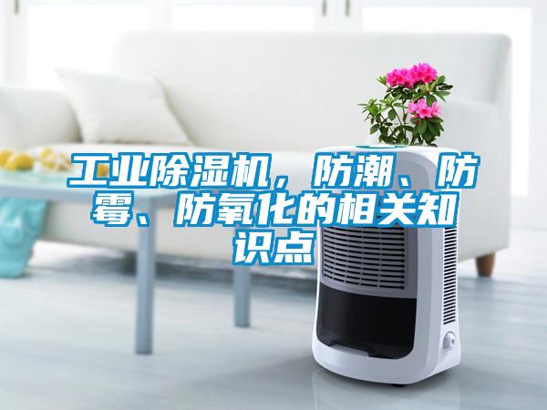 工業(yè)除濕機(jī)，防潮、防霉、防氧化的相關(guān)知識點