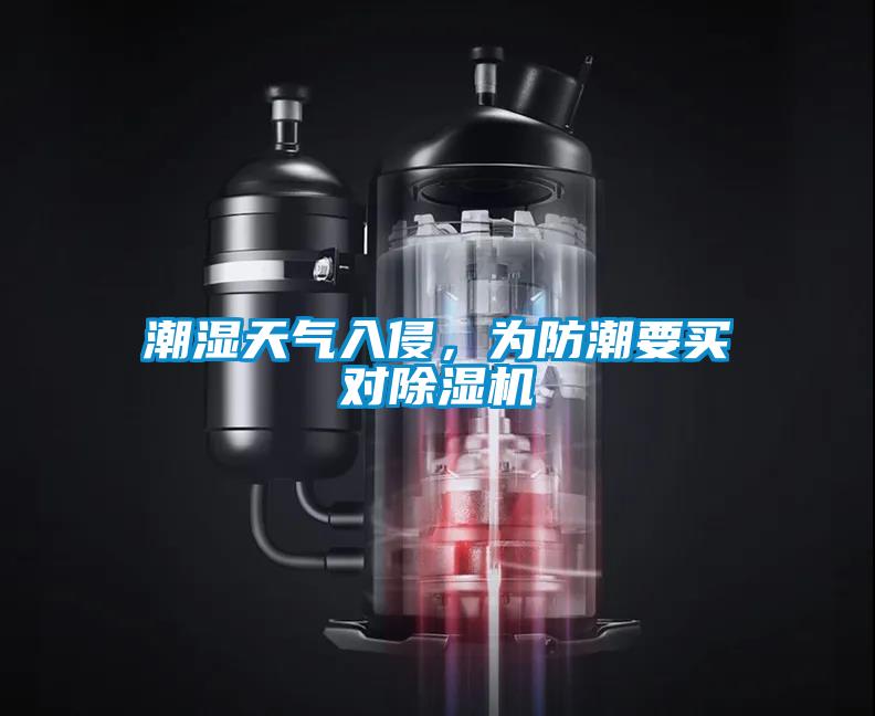 潮濕天氣入侵，為防潮要買對除濕機