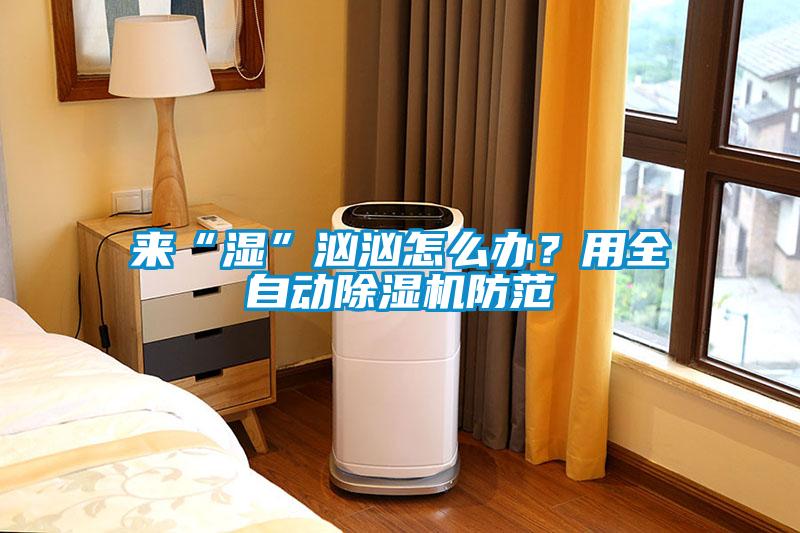 來(lái)“濕”洶洶怎么辦？用全自動(dòng)除濕機(jī)防范