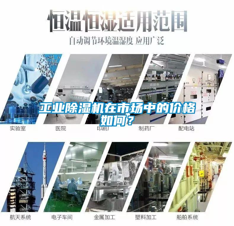 工業(yè)除濕機(jī)在市場中的價格如何？