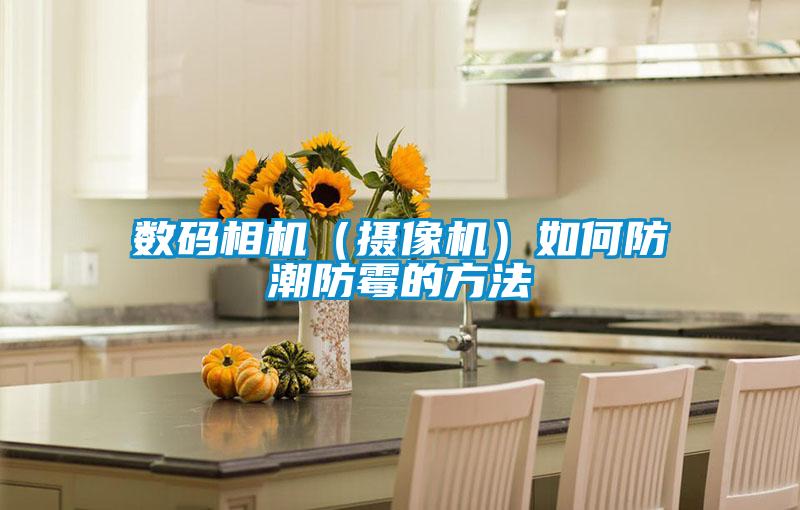 數碼相機(攝像機)如何防潮防霉的方法