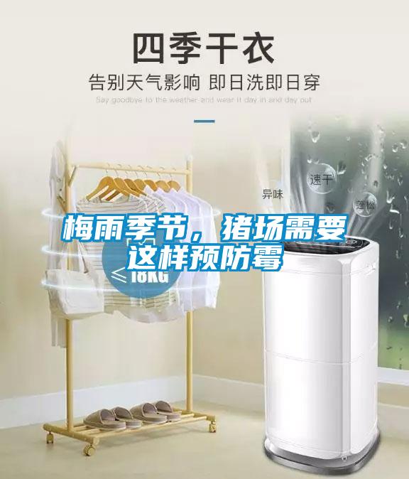 梅雨季節，豬場需要這樣預防霉