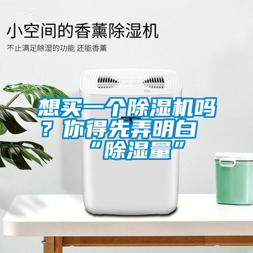 想買(mǎi)一個(gè)除濕機(jī)嗎？你得先弄明白“除濕量”