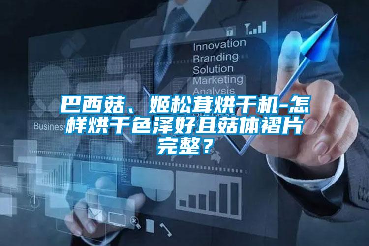 巴西菇、姬松茸烘干機-怎樣烘干色澤好且菇體褶片完整?