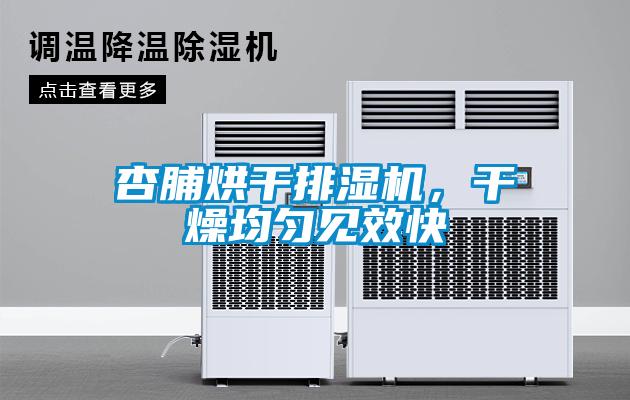 杏脯烘干排濕機，干燥均勻見效快