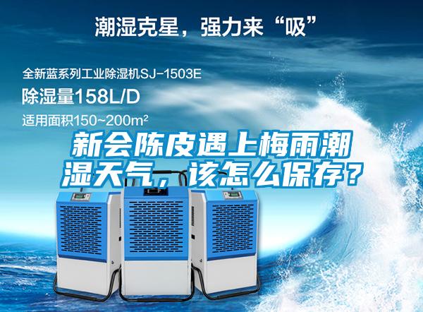 新會陳皮遇上梅雨潮濕天氣,該怎么保存?