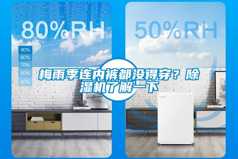 梅雨季連內褲都沒得穿？除濕機了解一下