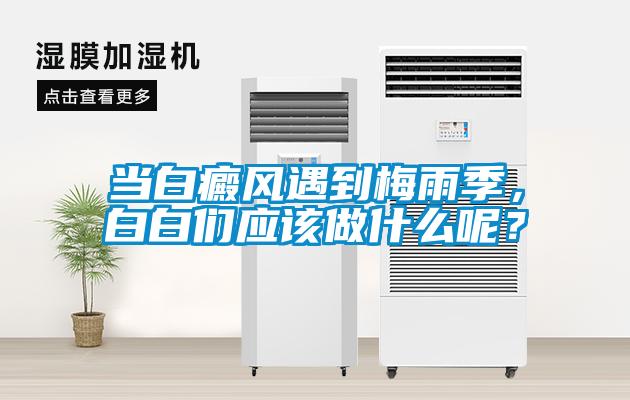 當白癜風遇到梅雨季，白白們應該做什么呢？