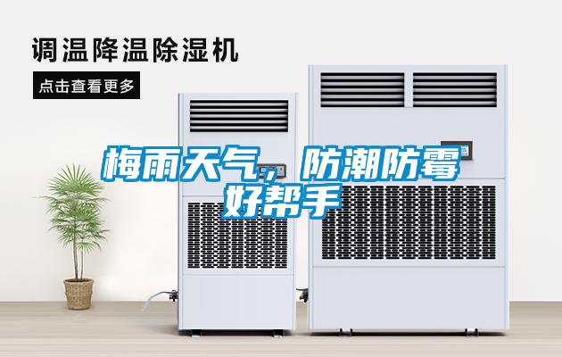 梅雨天氣，防潮防霉好幫手