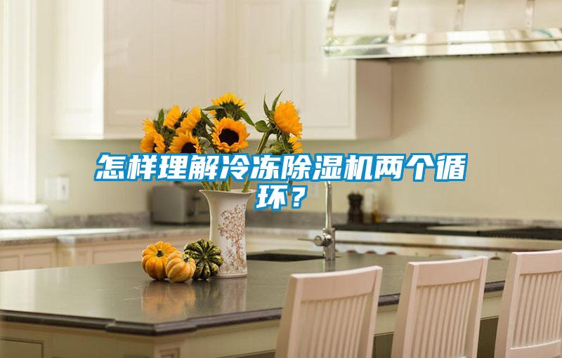 怎樣理解冷凍除濕機兩個循環？