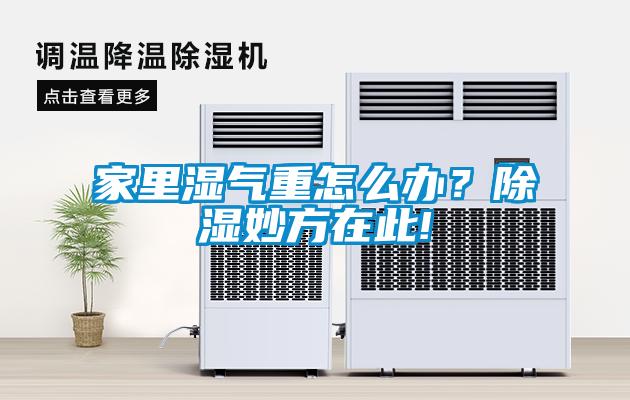 家里濕氣重怎么辦？除濕妙方在此!