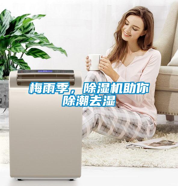 梅雨季，除濕機助你除潮去濕