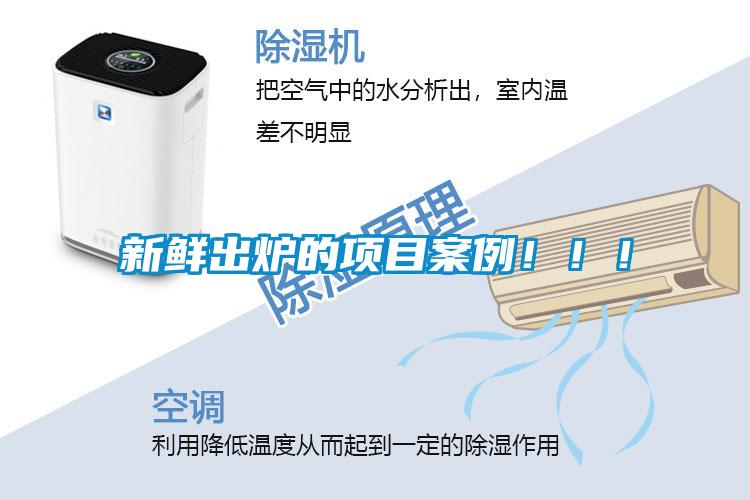 新鮮出爐的項目案例?。?！