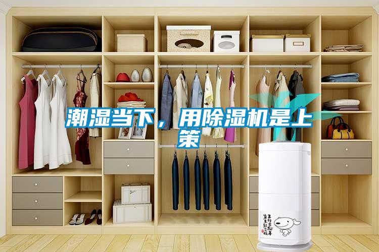 潮濕當下，用除濕機是上策