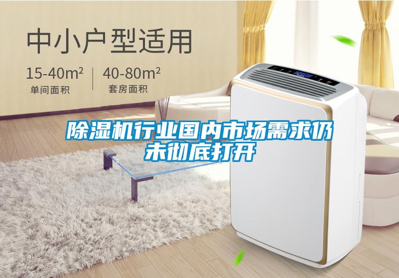 除濕機(jī)行業(yè)國內(nèi)市場(chǎng)需求仍未徹底打開