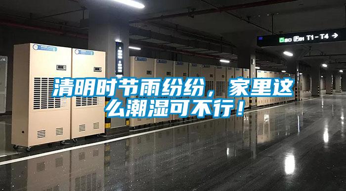 清明時節雨紛紛，家里這么潮濕可不行！