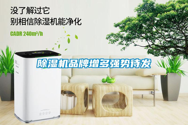 除濕機(jī)品牌增多強(qiáng)勢待發(fā)