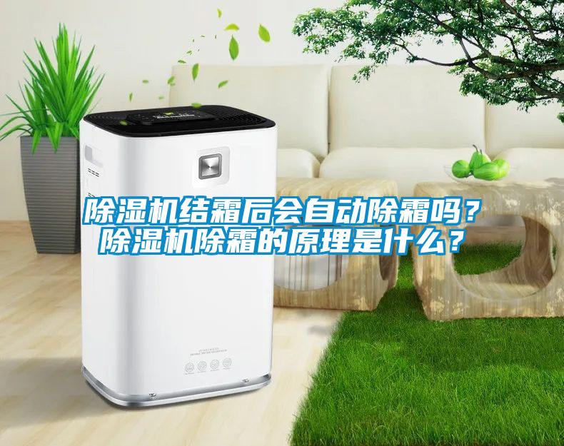 除濕機結霜后會自動除霜嗎？除濕機除霜的原理是什么？