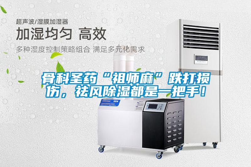 骨科圣藥“祖師麻”跌打損傷，祛風除濕都是一把手！