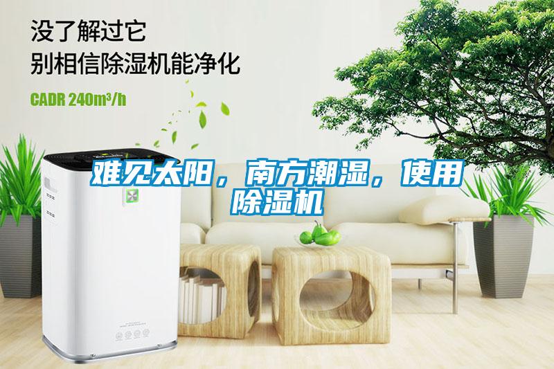 難見太陽，南方潮濕，使用除濕機