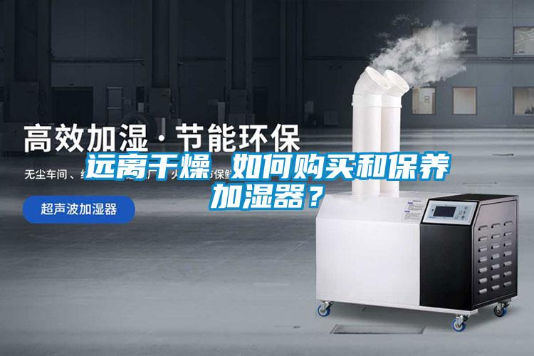 遠離干燥 如何購買和保養(yǎng)加濕器？