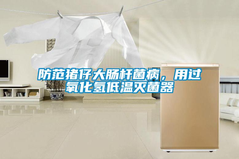 防范豬仔大腸桿菌病，用過氧化氫低溫滅菌器