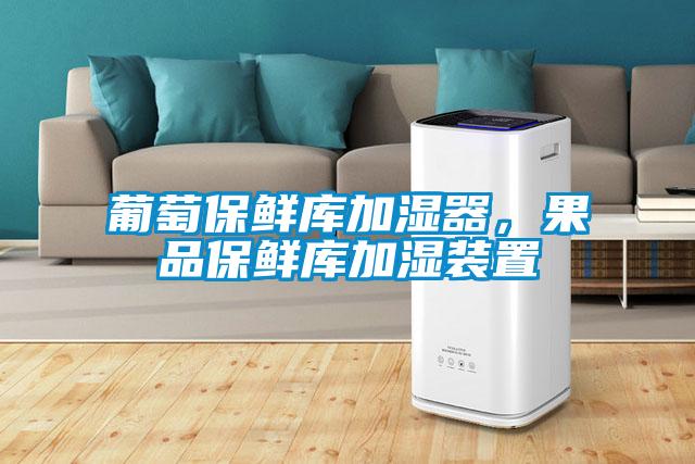 葡萄保鮮庫加濕器，果品保鮮庫加濕裝置