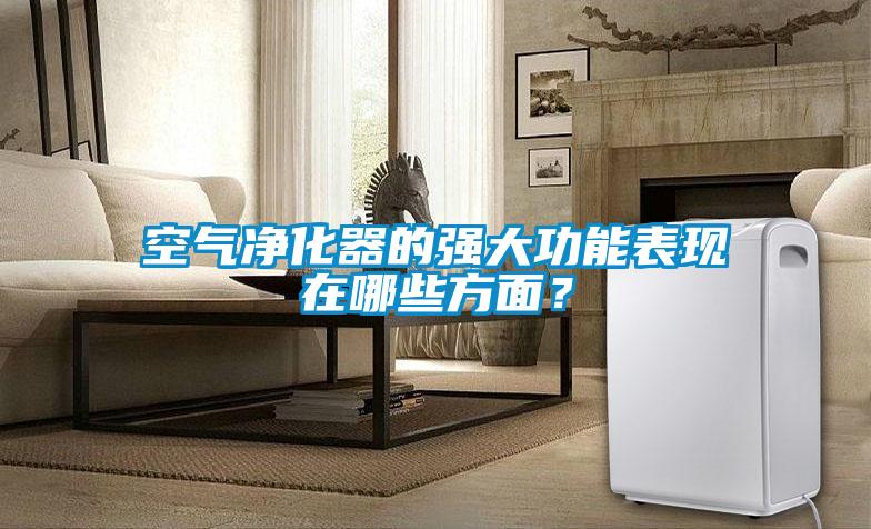 空氣凈化器的強大功能表現在哪些方面？