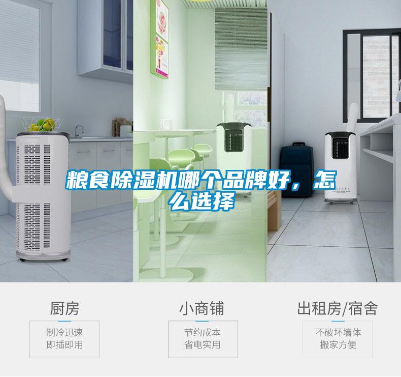 糧食除濕機哪個品牌好，怎么選擇